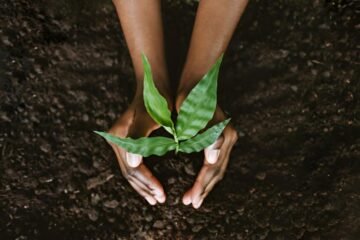 Unlocking the potential of Africa’s soils for a food-secure continent